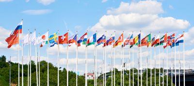 Decorative Residential Flag Poles